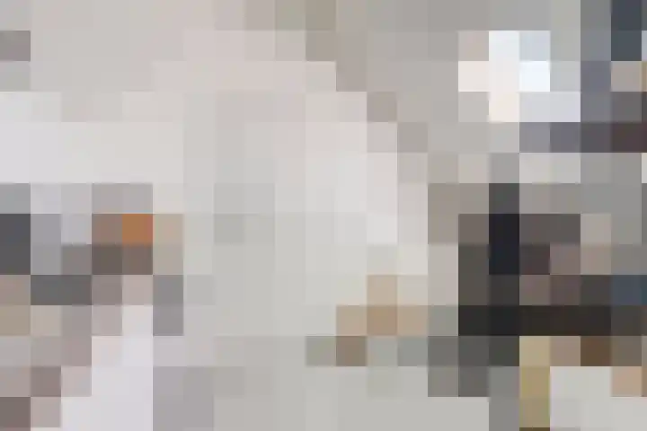 Pieter Quastweg 11 Eindhoven thumbnail 29