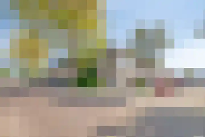 Pieter Quastweg 11 Eindhoven thumbnail 33