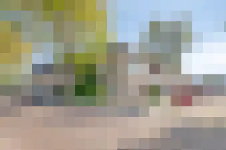 Pieter Quastweg 11 Eindhoven thumbnail 34