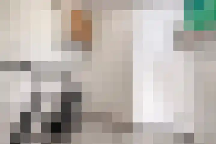 Pieter Quastweg 11 Eindhoven thumbnail 6