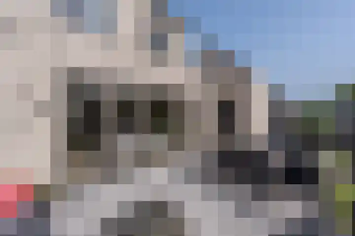 Pieter Repelaerstraat 46 Puttershoek thumbnail 36