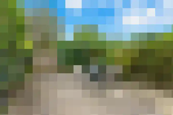 Pieter Rosemondweg 25 Rotterdam thumbnail 43
