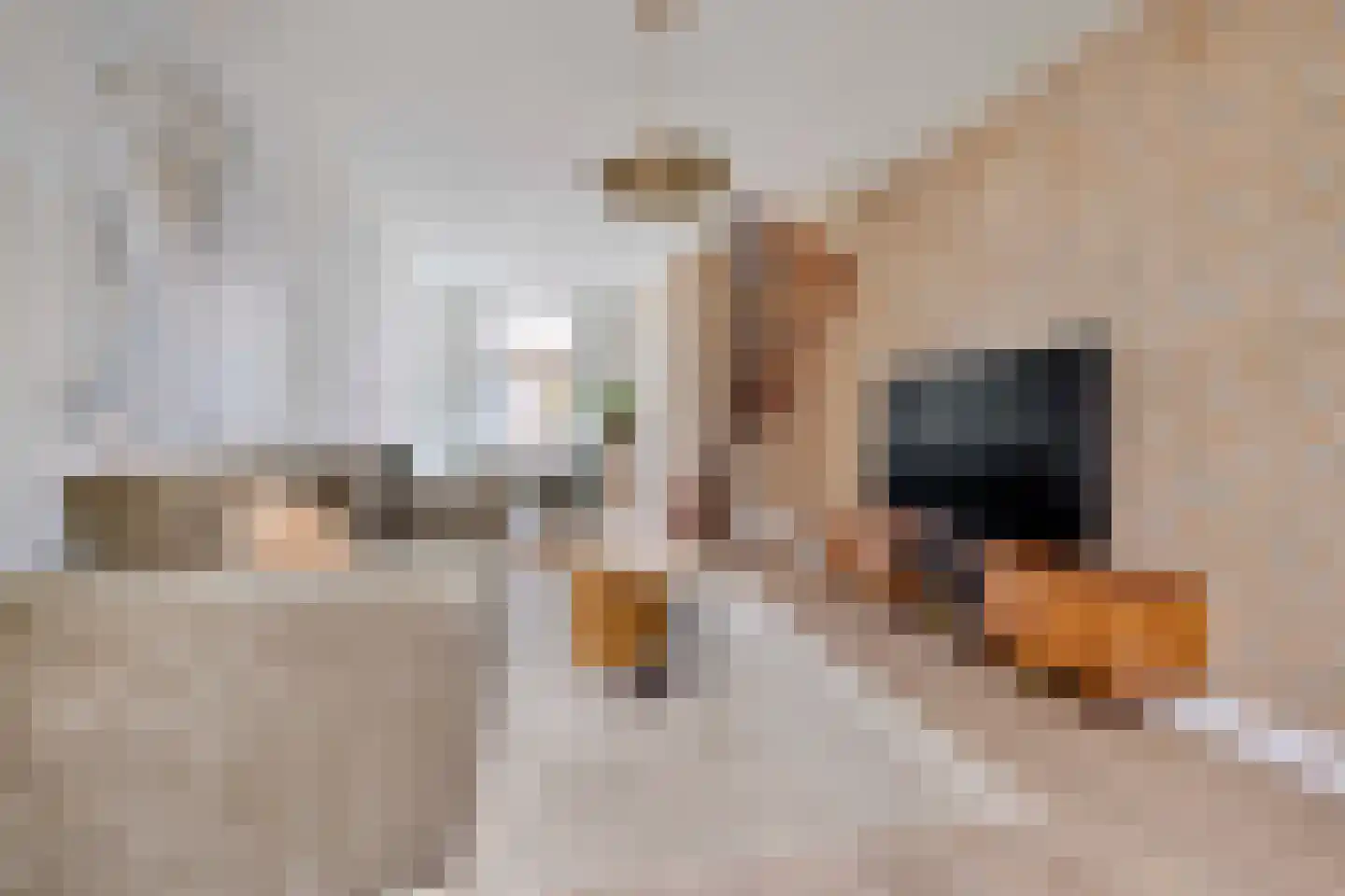 Pieter Schimstraat 14 Maassluis thumbnail 10