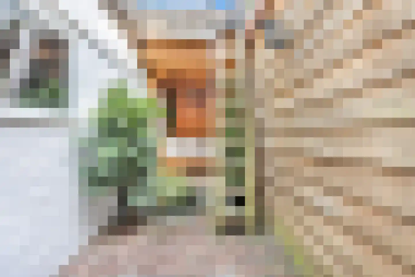 Pieter Schimstraat 19 Maassluis thumbnail 19