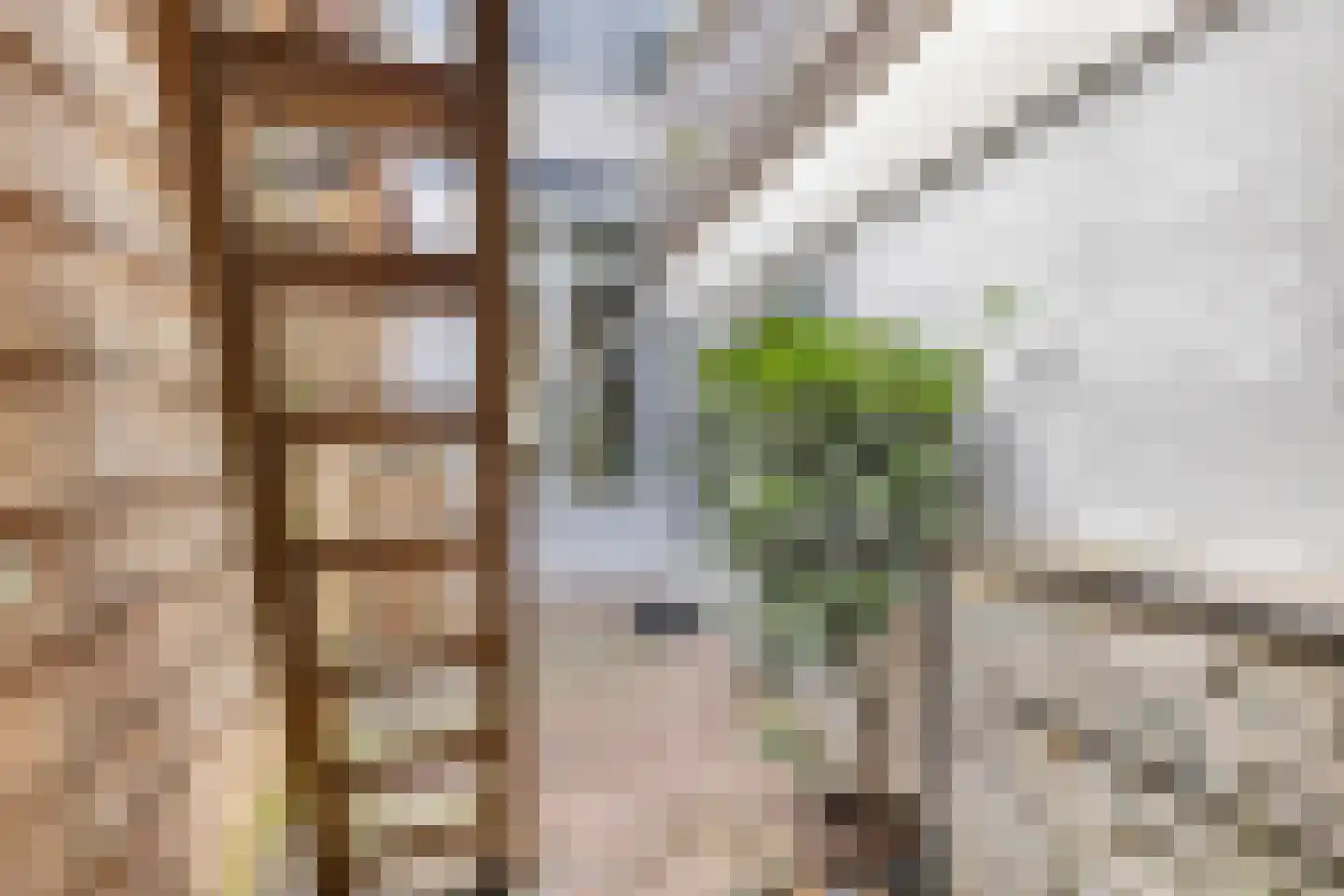 Pieter Schimstraat 19 Maassluis thumbnail 21