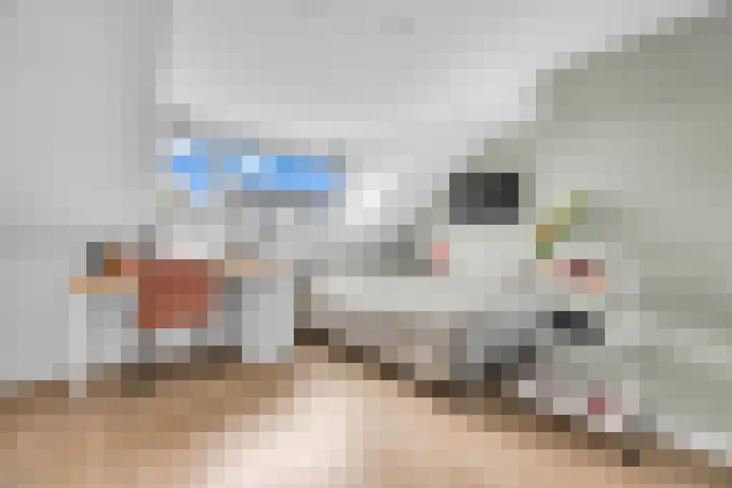 Pieter Schimstraat 19 Maassluis thumbnail 26
