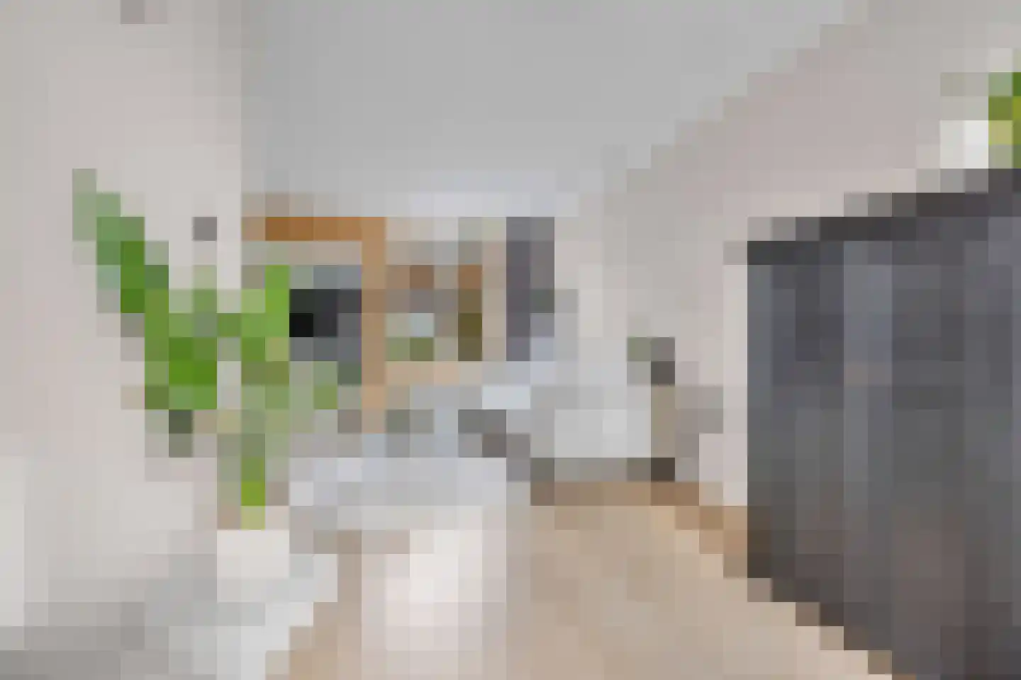 Pieter Schimstraat 19 Maassluis thumbnail 7
