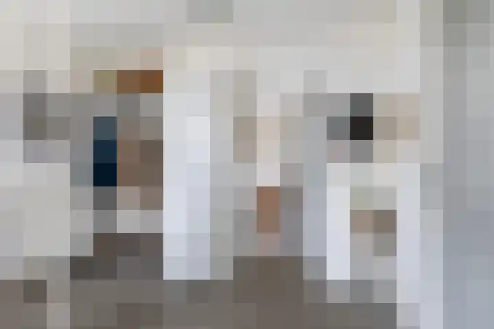 Pieter Sipmastrjitte 6 Dronryp thumbnail 10