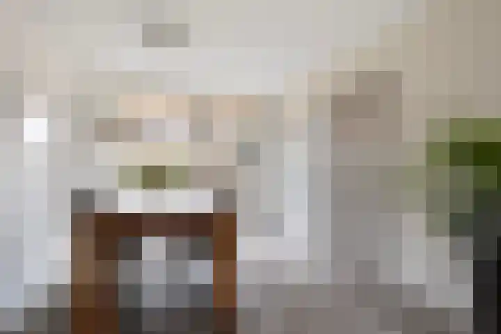 Pieter Sipmastrjitte 6 Dronryp thumbnail 11