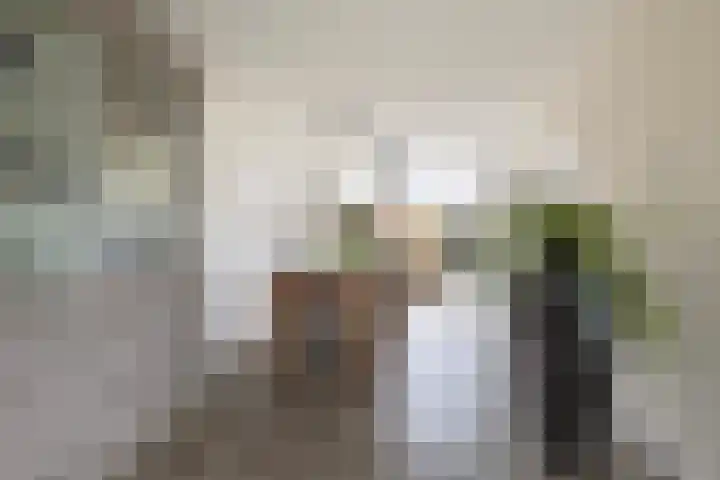 Pieter Sipmastrjitte 6 Dronryp thumbnail 12