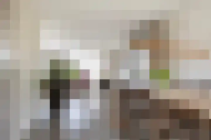 Pieter Sipmastrjitte 6 Dronryp thumbnail 13