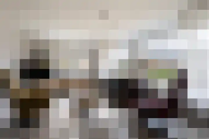 Pieter Sipmastrjitte 6 Dronryp thumbnail 18