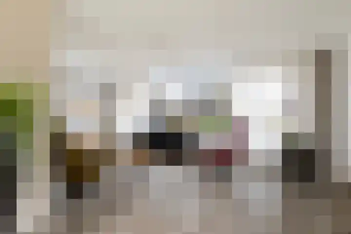 Pieter Sipmastrjitte 6 Dronryp foto 2