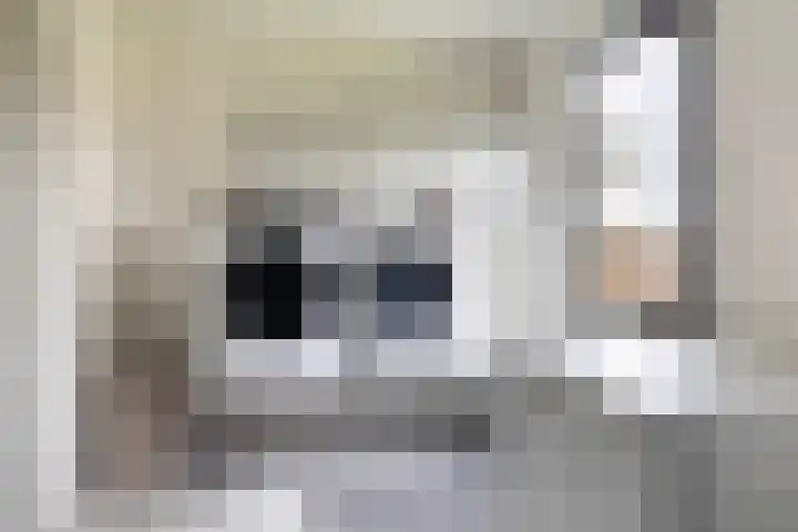 Pieter Sipmastrjitte 6 Dronryp thumbnail 23