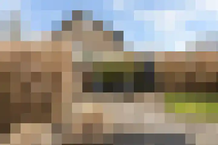 Pieter Sipmastrjitte 6 Dronryp thumbnail 24