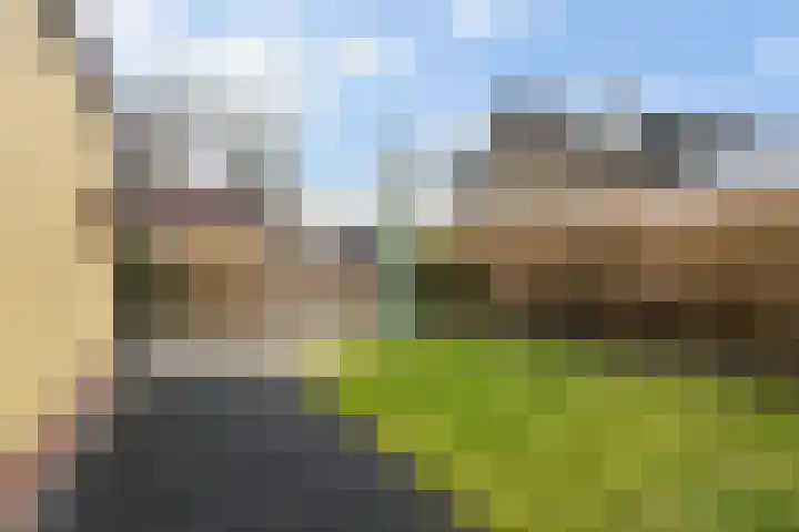 Pieter Sipmastrjitte 6 Dronryp thumbnail 26