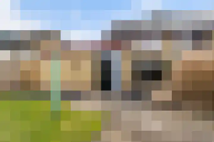 Pieter Sipmastrjitte 6 Dronryp thumbnail 28