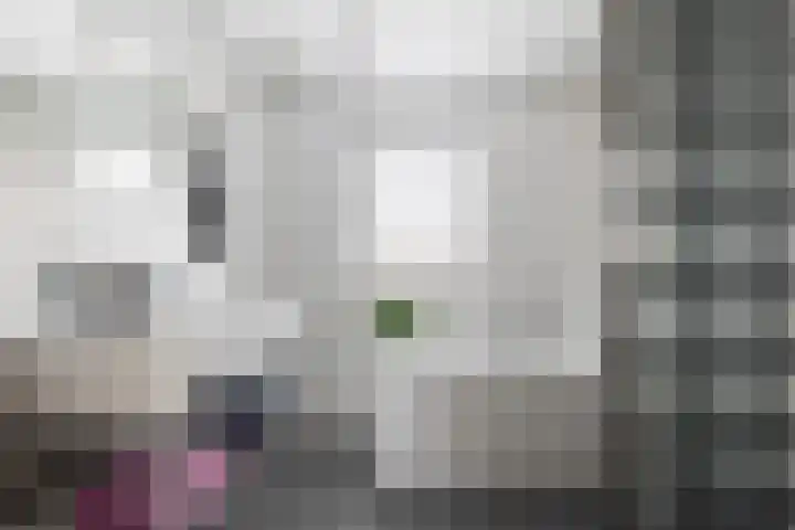 Pieter Sipmastrjitte 6 Dronryp foto 3
