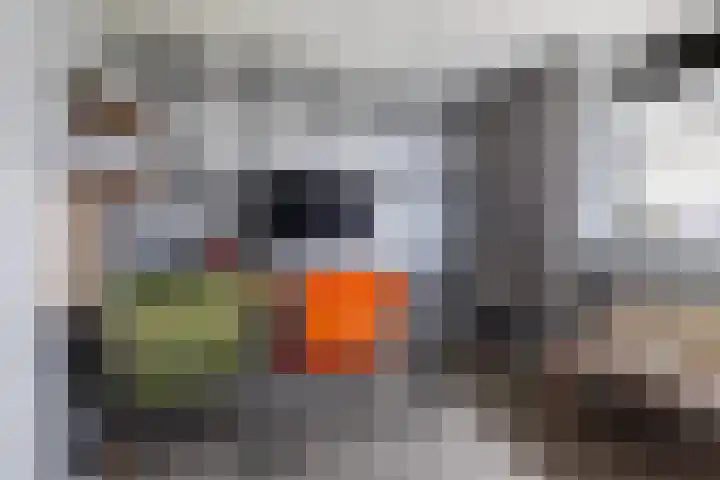 Pieter Sipmastrjitte 6 Dronryp thumbnail 33