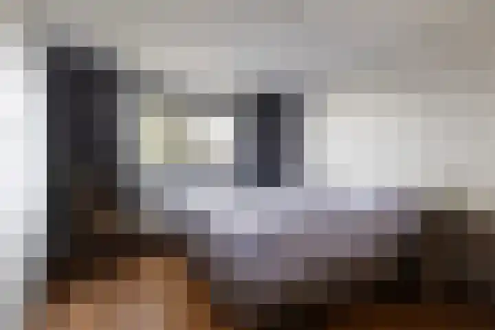 Pieter Sipmastrjitte 6 Dronryp thumbnail 34