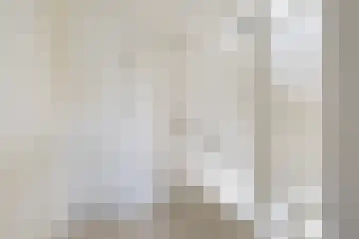 Pieter Sipmastrjitte 6 Dronryp thumbnail 41