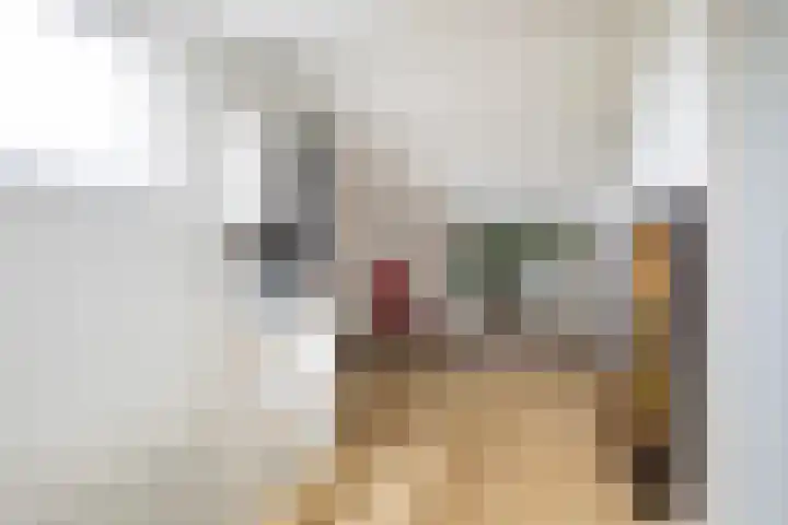 Pieter Sipmastrjitte 6 Dronryp thumbnail 42