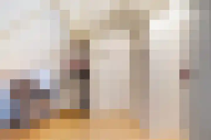 Pieter Sipmastrjitte 6 Dronryp thumbnail 43