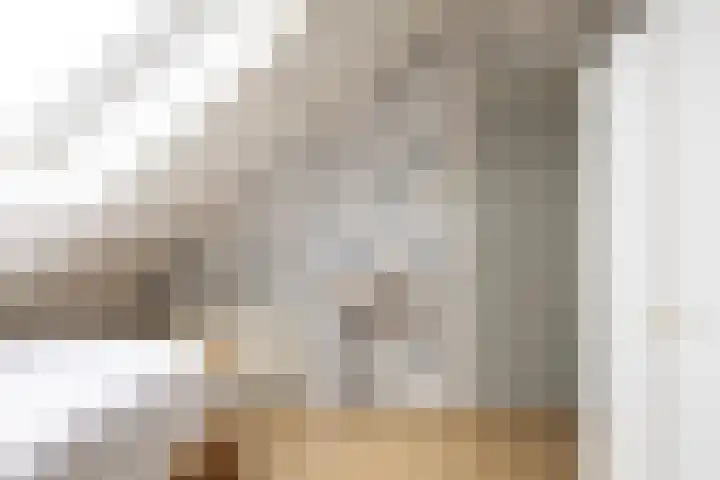 Pieter Sipmastrjitte 6 Dronryp thumbnail 45