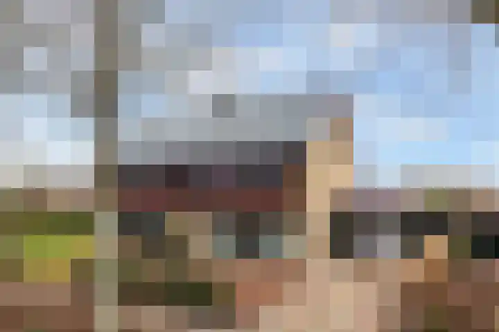 Pieter Sipmastrjitte 6 Dronryp thumbnail 48
