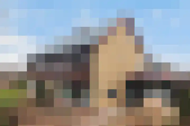 Pieter Sipmastrjitte 6 Dronryp thumbnail 5