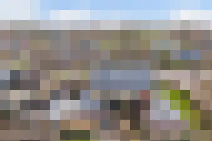 Pieter Sipmastrjitte 6 Dronryp thumbnail 51