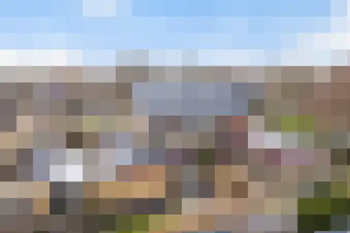 Pieter Sipmastrjitte 6 Dronryp thumbnail 52