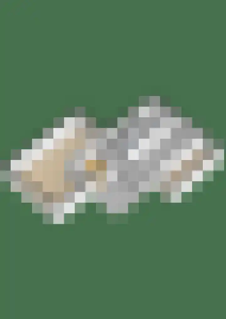 Pieter Sipmastrjitte 6 Dronryp thumbnail 56