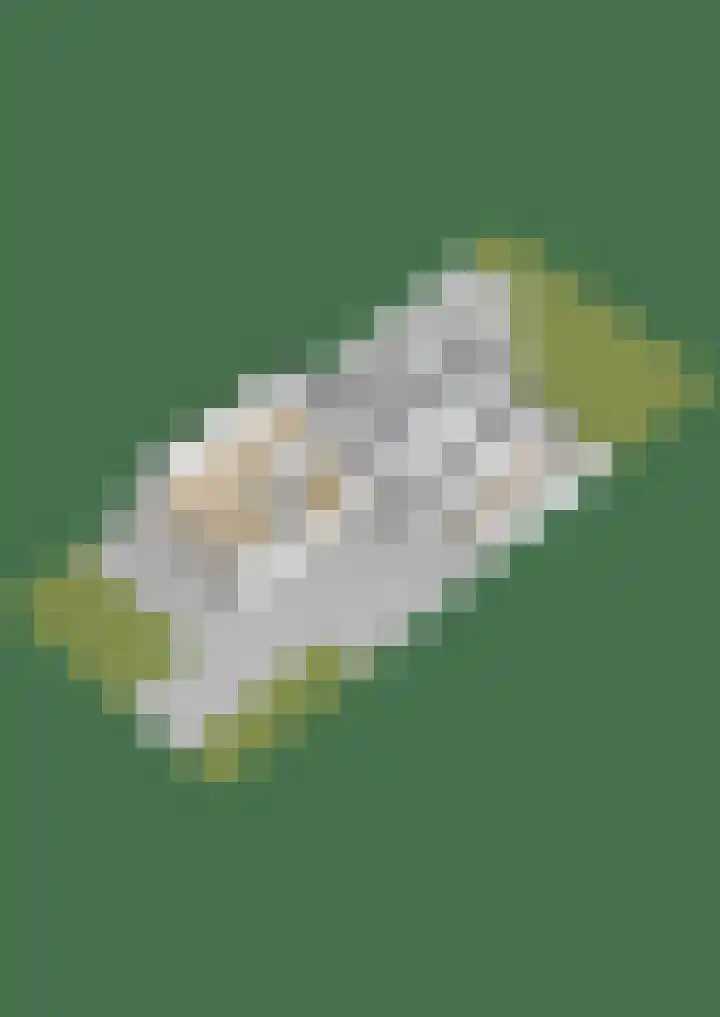 Pieter Sipmastrjitte 6 Dronryp thumbnail 60