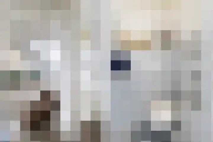 Pieter Sipmastrjitte 6 Dronryp thumbnail 9