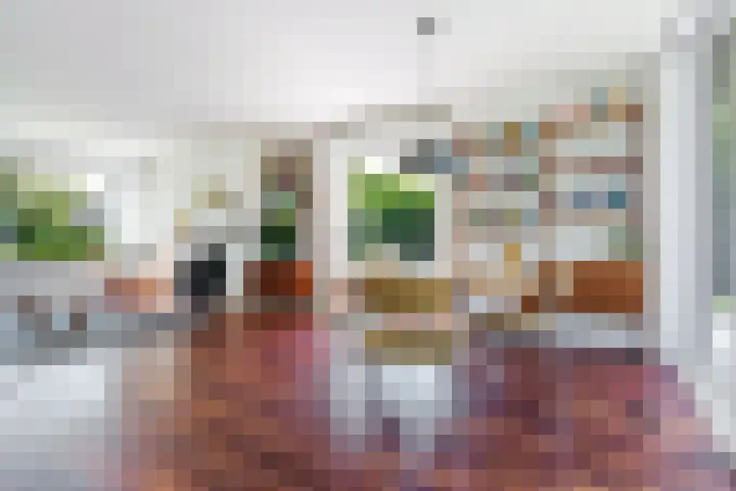 Pieter Sipmastrjitte 9 Dronryp foto 2