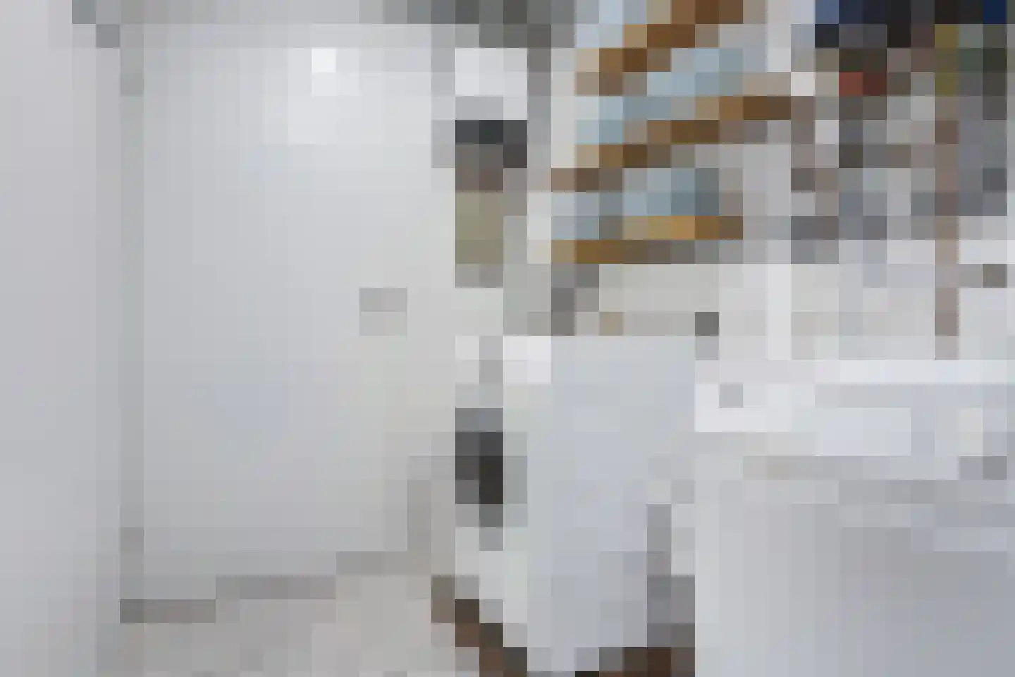 Pieter Sipmastrjitte 9 Dronryp thumbnail 21