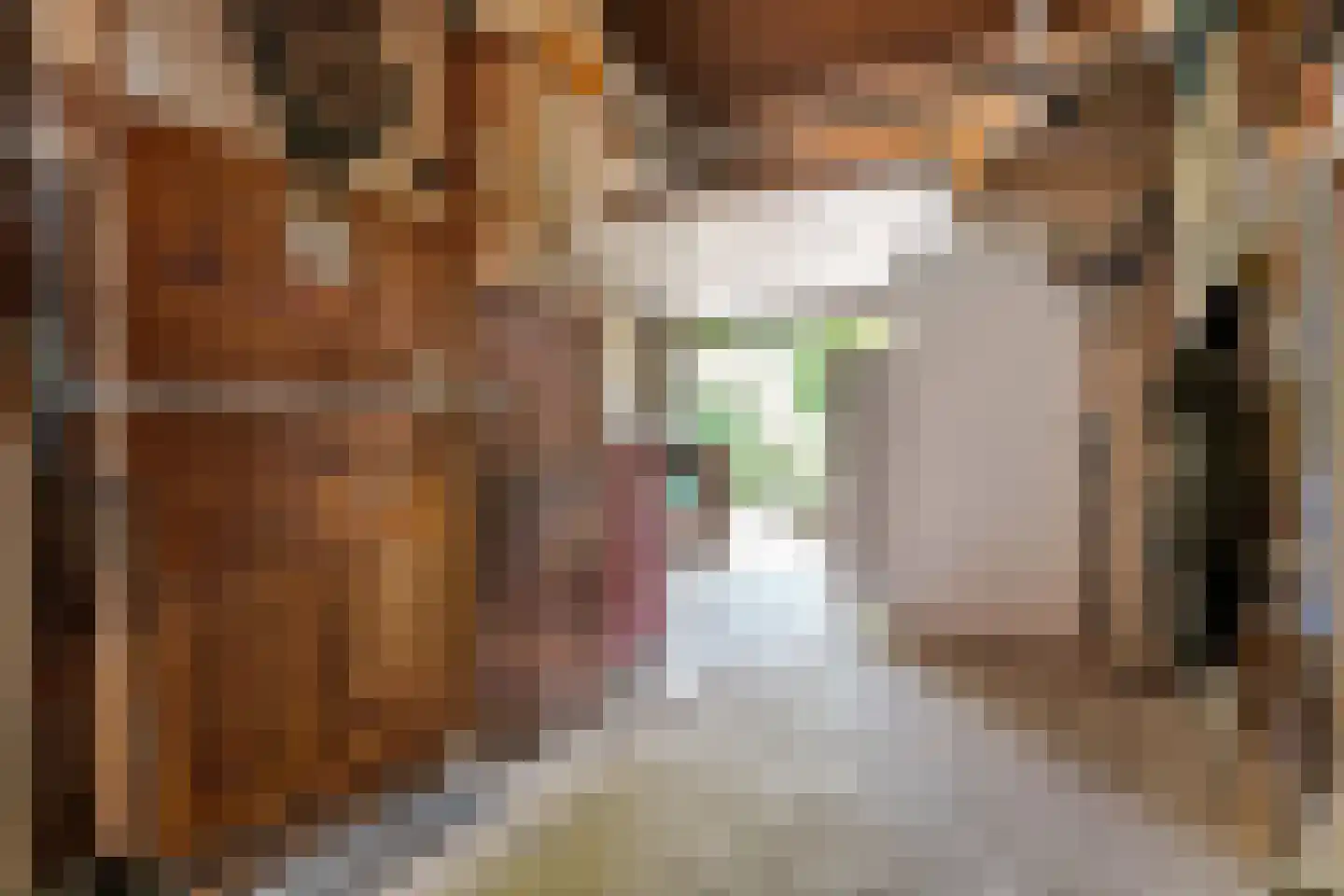 Pieter Sipmastrjitte 9 Dronryp thumbnail 23