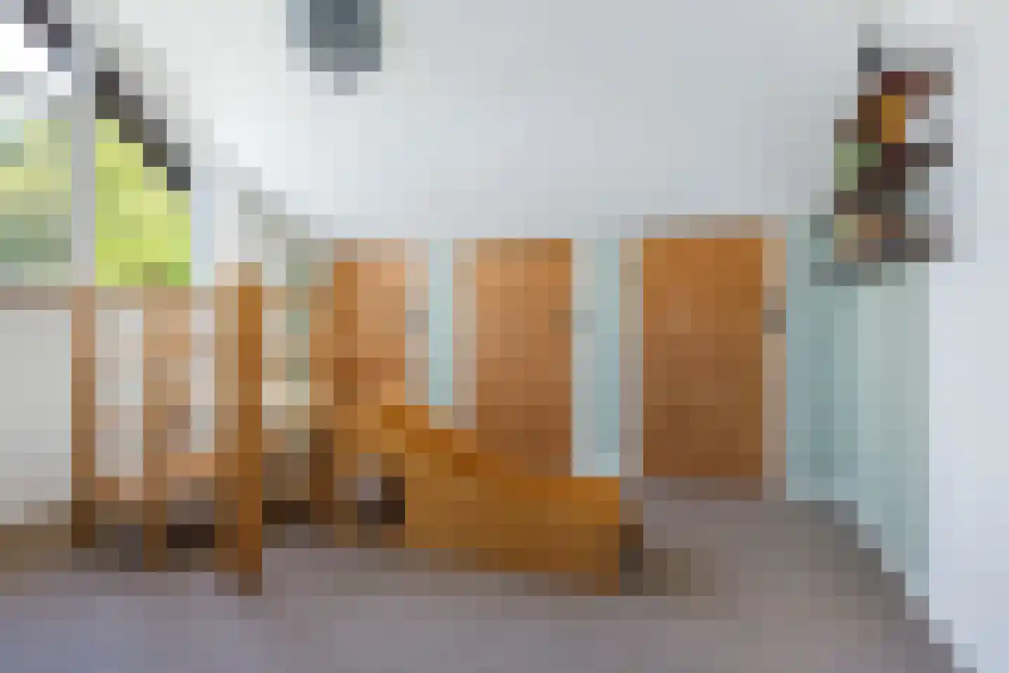 Pieter Sipmastrjitte 9 Dronryp thumbnail 32