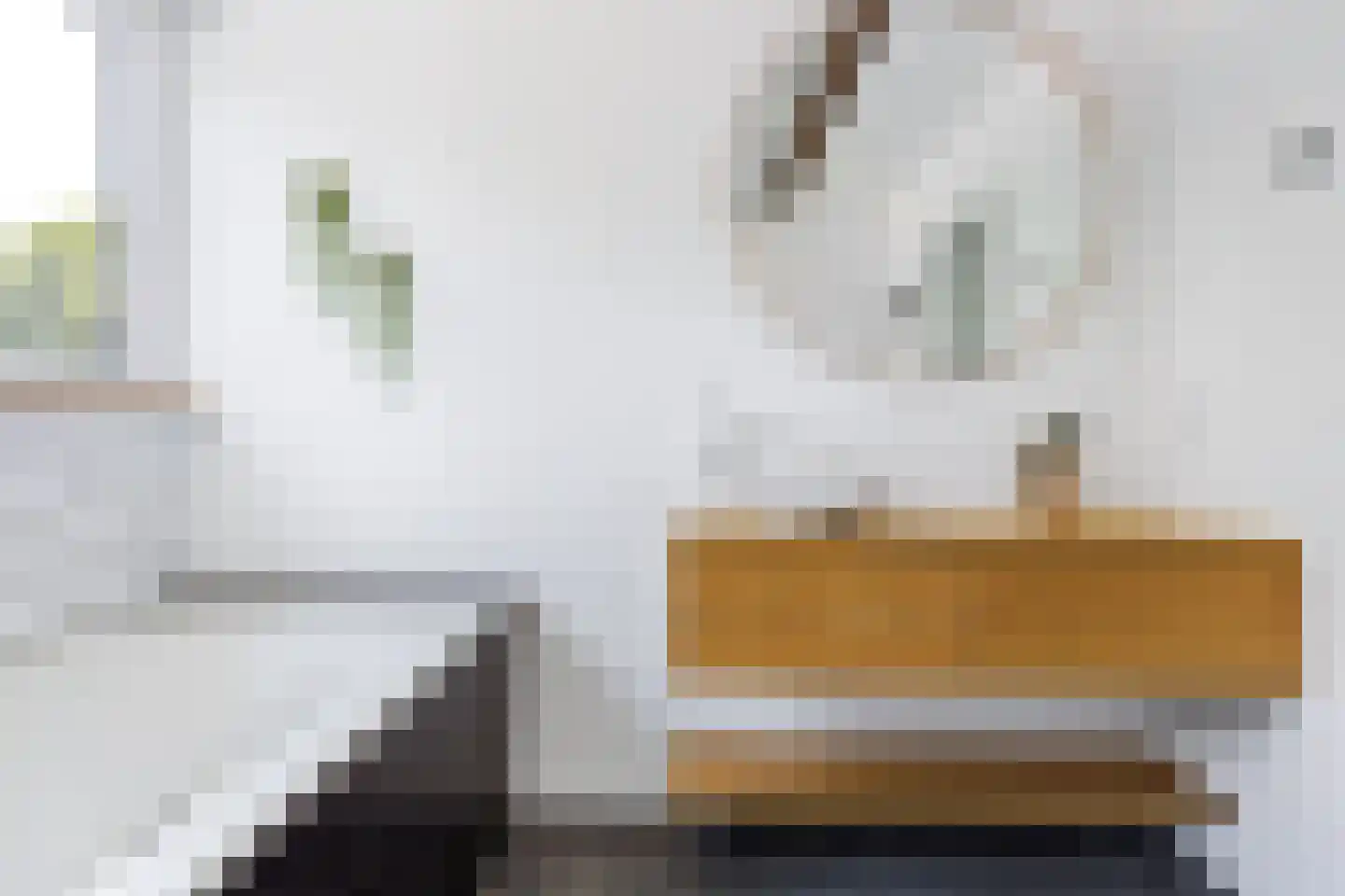 Pieter Sipmastrjitte 9 Dronryp thumbnail 34