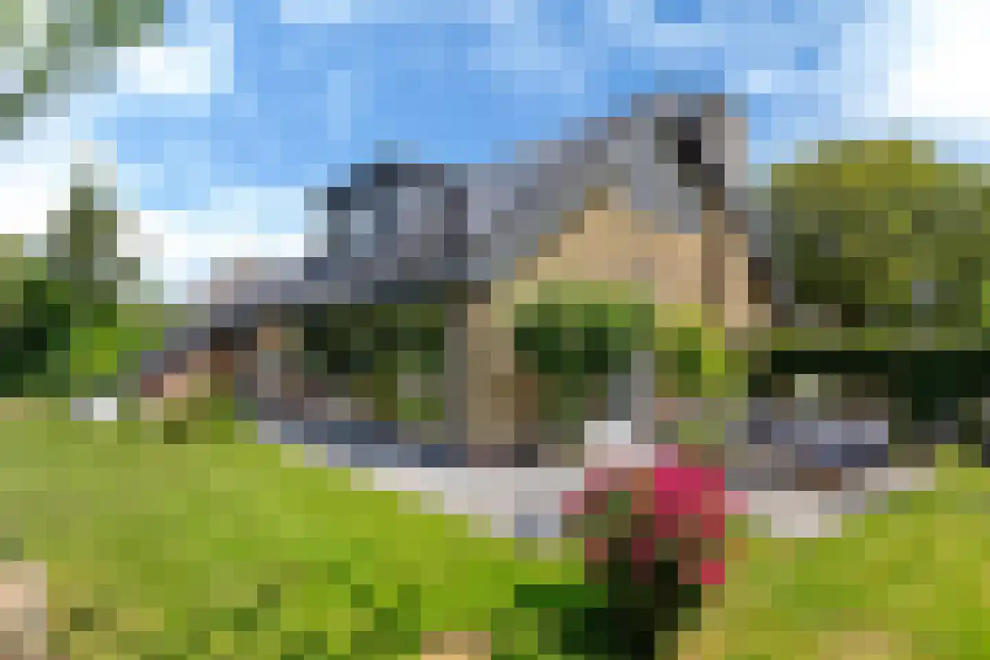 Pieter Sipmastrjitte 9 Dronryp thumbnail 42