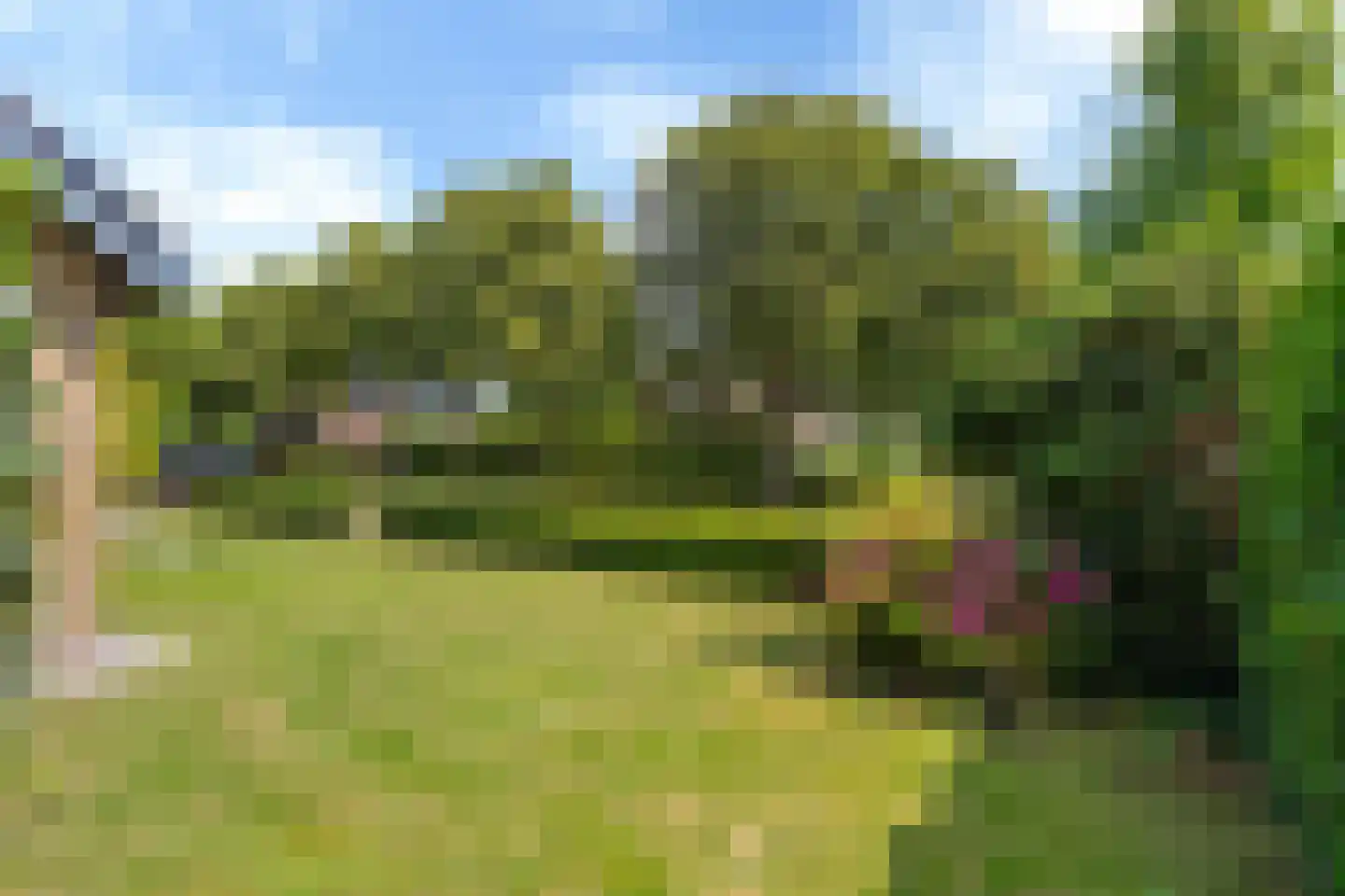 Pieter Sipmastrjitte 9 Dronryp thumbnail 49