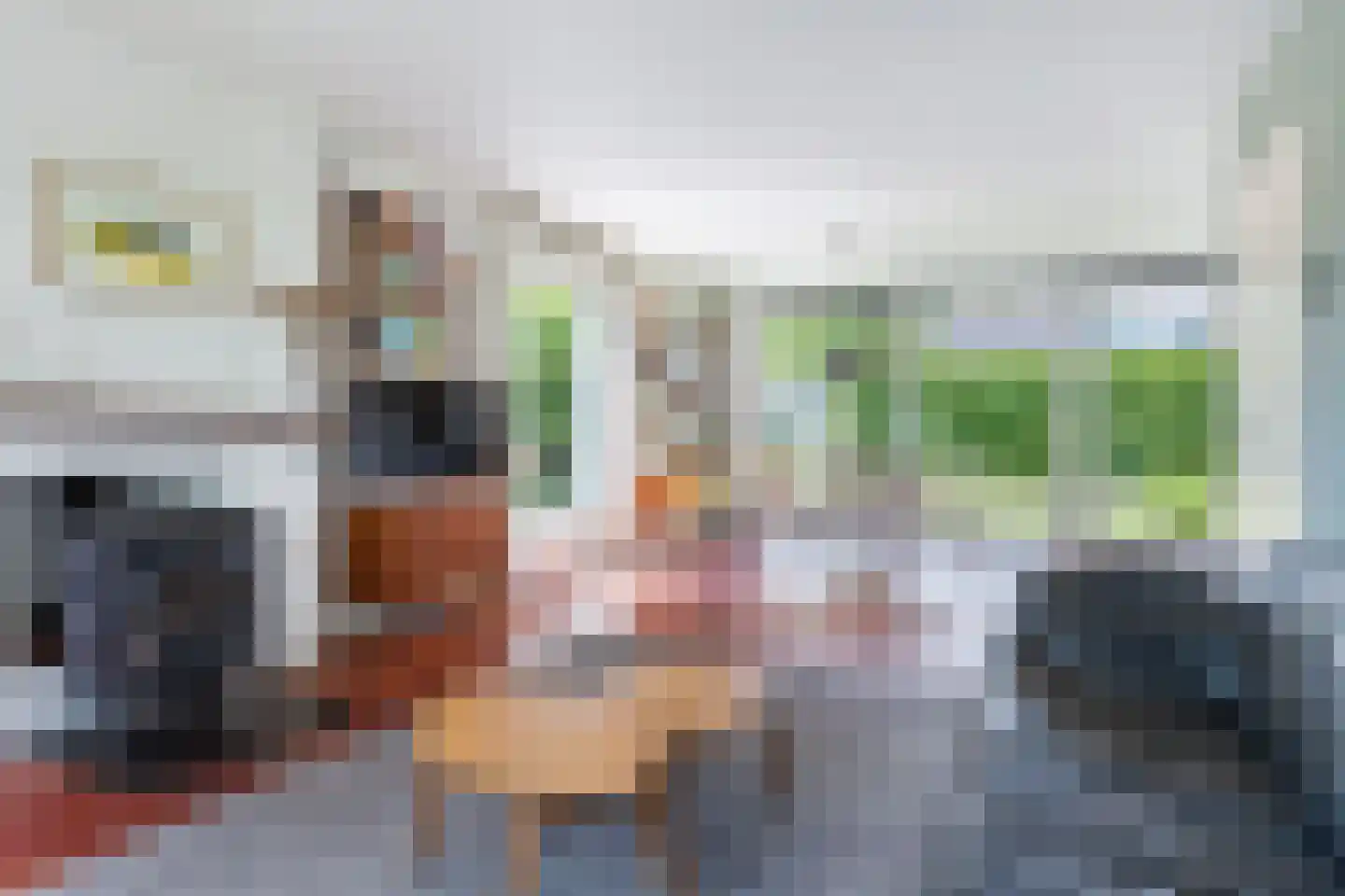 Pieter Sipmastrjitte 9 Dronryp thumbnail 6