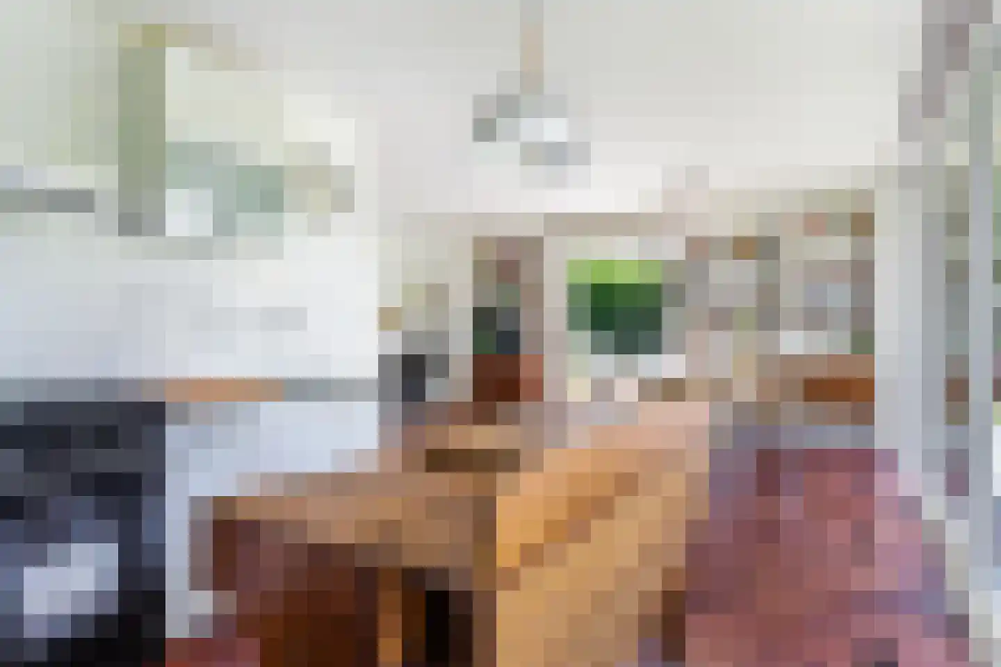 Pieter Sipmastrjitte 9 Dronryp thumbnail 7