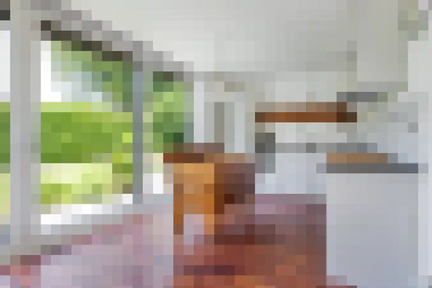 Pieter Sipmastrjitte 9 Dronryp thumbnail 9