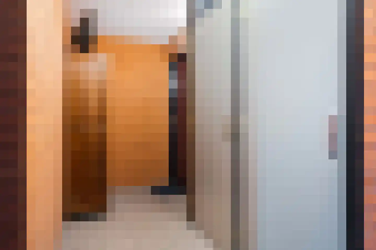 Pieter Sipmawei 37 Leeuwarden thumbnail 28