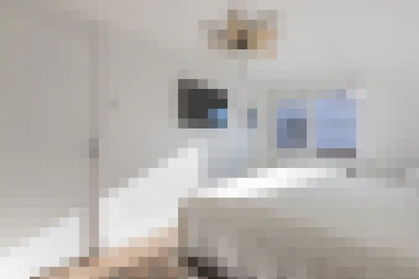 Pieter Sjoerds Gerbrandystraat 23 Harlingen thumbnail 23