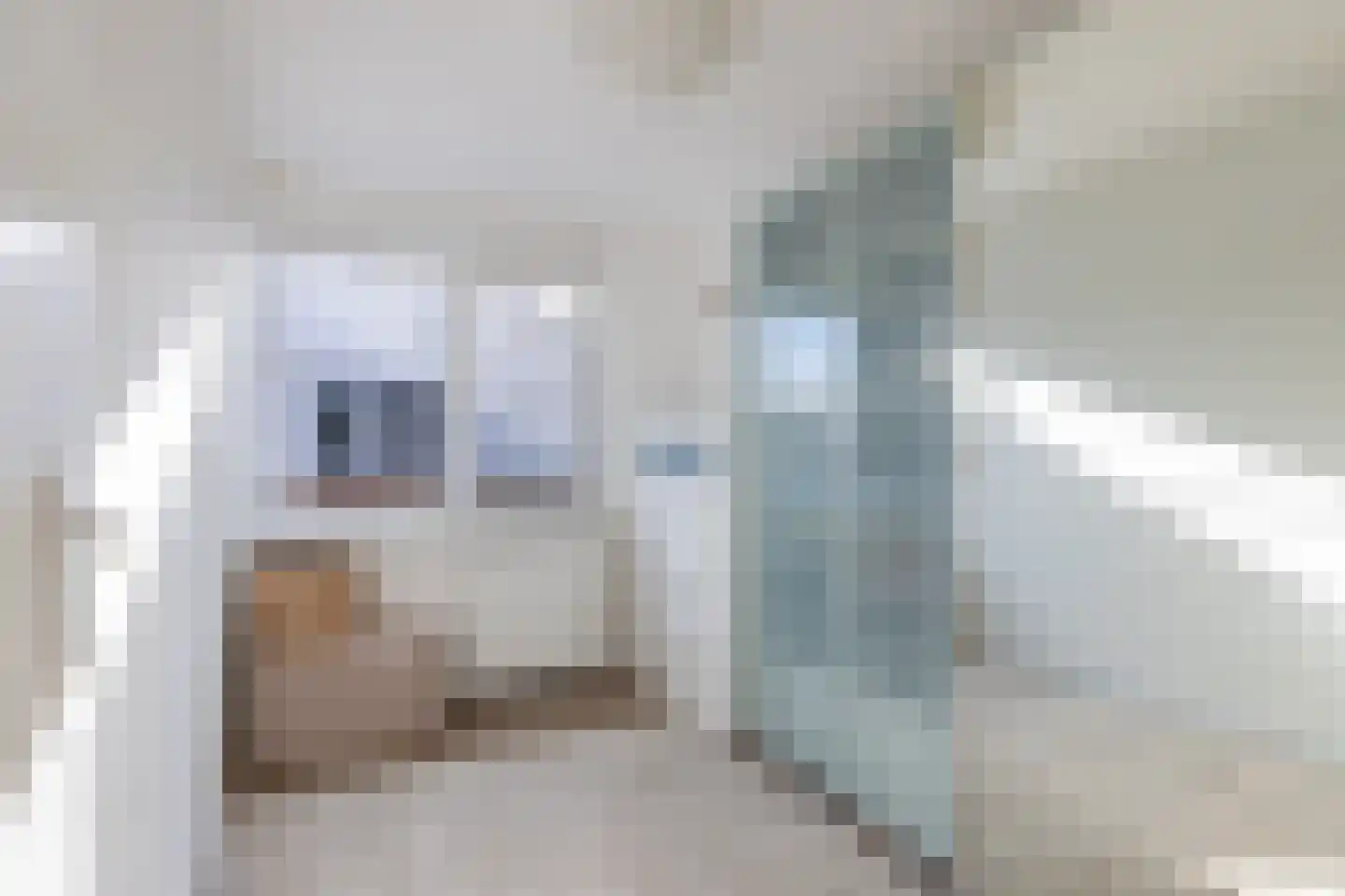 Pieter Sjoerds Gerbrandystraat 23 Harlingen thumbnail 24