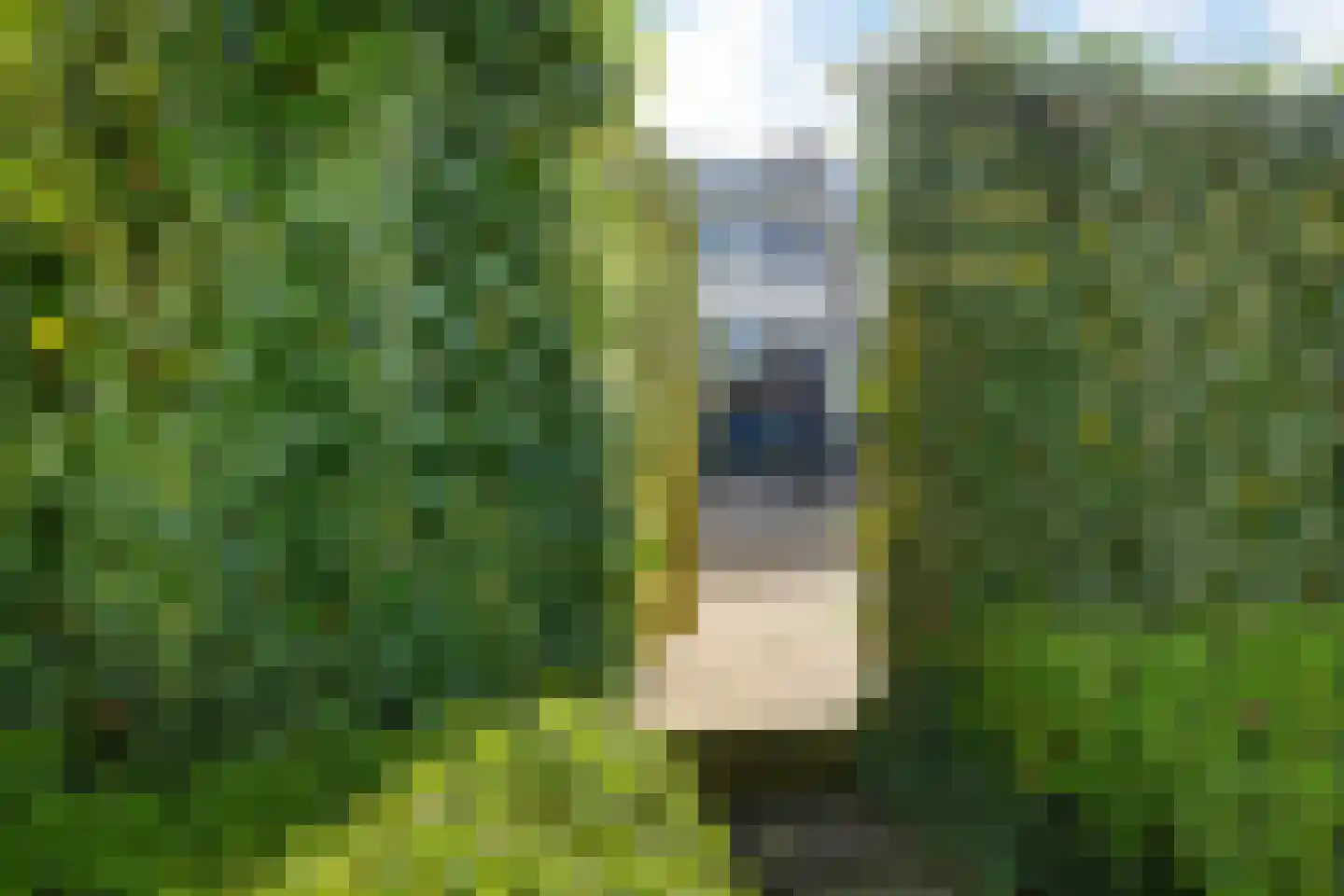 Pieter Soutmanlaan 17 Heerhugowaard thumbnail 39