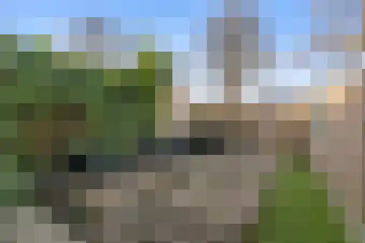 Pieter Soutmanlaan 27 Heerhugowaard thumbnail 30